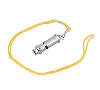 Strumento di allenamento per fischietti in acciaio inossidabile ad ultrasuoni Strumento di allenamento in argento Mini leggero per il comportamento dei piccioni