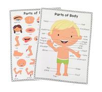 Strumento di apprendimento per bambini umani con design colorato | Poster interattivo del corpo umano organi del corpo grafico da parete per il bambino con grafica colorata e sicuro amichevole