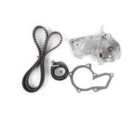 Strumento di bloccaggio della cinghia di distribuzione Cinghia Distribuzione Motore Pompa Dell'acqua Per Ford Per Escape 2013-2016 1.6L 1596cc 97cid L4 DOHC Turbocompresso 16 Valvole