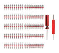 Strumento di Rimozione dello Stelo della Valvola Dell'auto, Set di Strumenti per Nucleo Valvola Con 100 Pezzi di Anime per Stelo Valvola Strumento di Riparazione della Valvola del Pneumatico 2 Pezzi