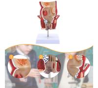 Strumento didattico per l'apprendimento scolastico del modello di