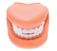Strumento Dimostrativo Marionetta Bocca Per La Logopedia Modello Denti Dei