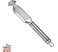 Strumento disincrostante per pesce, 2 in 1, in acciaio inox, con grattugia per zenzero, strumento multifunzione per raschiare le squame di pesce per una facile pulizia a casa o al ristorante (1 pezzo)