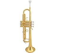 Strumento Eolico Laccato Oro B In Oro Piatto Classico In Oro Classico (Color : Gold)