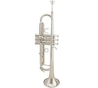 Strumento Eolico Laccato Oro B In Oro Piatto Classico In Oro Classico (Color : Silver)