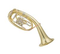 Strumento Eufonio Eufonio A Tre Tasti Piatti, Strumento In Ottone Eufonio Grande, Laccato Oro, Si Bemolle, Con Custodia E Accessori