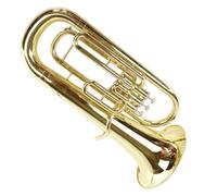 Strumento Eufonio Si Bemolle Tre Chiavi Di Supporto Eufonio Ottone Laccato Oro Grande Corno Studente Principiante Che Suona Strumento
