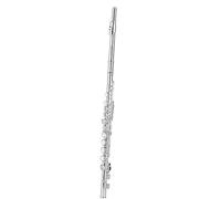 strumento flauto 16 Fori Chiusi 17 Cupronichel Argento Nichelato Performance Per Uso Generico Flauto Di Livello Base Per L'insegnamento flauto traverso