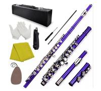 Strumento Flauto A Foro Aperto Flauto Traverso Con Scanalatura In Do A 16 Fori Set Di Guanti Per Principianti Viola E Neri Professionali Con Scatola(Purple)