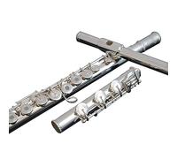 strumento flauto Dizi 17 Fori Di Apertura E Chiusura Placcati In Argento A Doppio Uso Flauto A Tubo In Nichel-argento Principiante Generale Professionale flauto traverso