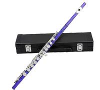 strumento flauto Flauto a fori chiusi a 16 fori nichelato in chiave di Do per gli studenti che eseguono ottoni di uso generale blu flauto traverso