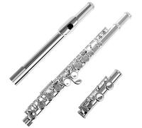 Strumento Flauto Flauto Con 16 Fori Chiusi Chiave C Flauto Professionale In Argento Strumento Musicale Da Concerto Flauto Scatola Panno Bastone Guanti Parti(Silver)