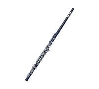 Strumento Flauto Flauto Nero A 16 Fori Strumento A Fiato Chiave Chiusa Aggiungi Il Tasto E Tono C Flauto Da Concerto Placcato In Nichel Con Custodia