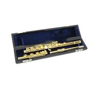 Strumento Flauto Flauto Per Studenti Laccato Oro 17 Fori Aperto C