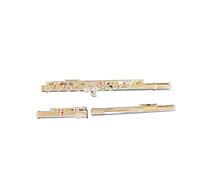 Strumento Flauto Flauto Traverso Professionale A Foro Chiuso Per Studenti Principianti