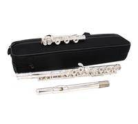 Strumento Flauto Placcato In Argento 16 Fori 17 Fori Fori Aperti-chiusi Strumento Flauto A Doppio Uso C Ha Una Gamma Più Ampia(17 hole)