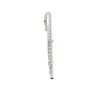 Strumento Flauto Professionale Flauto Curvo Placcato In Argento Doppio 16 Fori Chiave Mi Strumento Finale Do