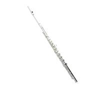 Strumento Flauto Professionale Flauto Da Concerto Professionale Placcato A 16 17 Fori Strumento A Fiato Dal Design Aperto
