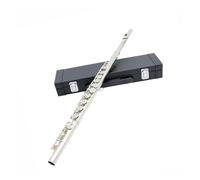 Strumento Flauto Professionale Flauto Traverso Professionale A 16 Fori CE Con Chiave Chiusa Strumento A Fiato In Rame Bianco Set Per Principianti