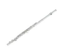 Strumento flauto professionale per principianti in tonalità di Do