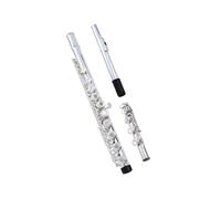 Strumento Flauto Professionale Strumento Flauto 17 Fori Aperti E Chiusi Doppio Uso Professionale Tasto Mi Coda Si Principiante
