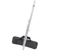 Strumento Flauto Professionale Strumento Flauto C 16 Foro Aperto E Chiuso Doppio Uso Chiave Mi 17 Placcato Argento(7)