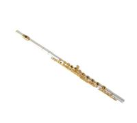 Strumento Flauto Professionale Strumento Flauto Traverso In Do Con Corpo In Argento 16 Strumenti A Fiato Apri E Chiudi Doppio Uso Prestazioni Professionali
