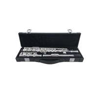 Strumento Flauto Strumento Di Registrazione In Rame Nichel Adatto Agli Studenti