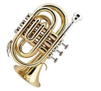 strumento in ottone a tromba Esibizione Di Una Banda Di Strumenti In Ottone Con Tromba Portatile Con Numero Di Palma, Cornetta In Si Bemolle