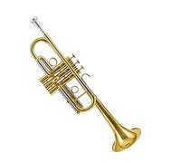 strumento in ottone a tromba Gli Studenti Adulti Di Strumenti A Tromba Di Livello Professionale Con Tono C Acuto Suonano Professionalmente Strumenti Musicali