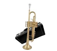 strumento in ottone a tromba Gli Studenti Trombano In Si Bemolle Banda Generale Che Suona Strumenti Musicali Per Principianti Nell'esame Professionale