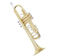 strumento in ottone a tromba Musica In Ottone Con Corno Trifonico In Si Bemolle Si Bemolle Per Principianti Per Suonare L'oro