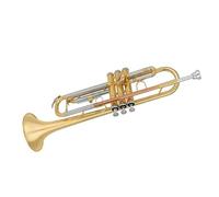 strumento in ottone a tromba Si Bemolle Appassito Studente Tromba Principiante Banda Professionale Che Suona Vernice Bronzo Fosforoso Oro