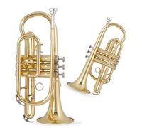 strumento in ottone a tromba Si Bemolle Cornetta Tromba Strumento Musicale Esame Di Grado Principiante Professionista Che Suona L'oro