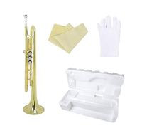 strumento in ottone a tromba Strumento In Ottone Tromba Si Bemolle Tromba In Ottone Studente Principiante Pratica Professionale (Color : Gold)
