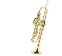 strumento in ottone a tromba Strumento Musicale A Tromba Tromba In Si Bemolle Studente Adulto Principiante Esame Banda Classica Performance