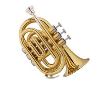 strumento in ottone a tromba Studenti Che Suonano Lo Strumento Musicale Tromba Di Palma In Chiave Si Bemolle Per L'esame Di Grado