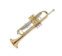strumento in ottone a tromba Tromba In Si Bemolle Professionale Per Suonare La Tromba Test Di Qualità Del Corpo In Bronzo Fosforoso