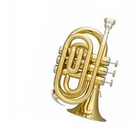 strumento in ottone a tromba Tromba Portatile Con Numero Di Palma, Cornetta In Si Bemolle, Strumento In Ottone, Performance Di Banda Professionale