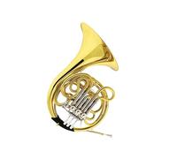 Strumento In Ottone Corno Francese Corno Francese Basso In Ottone Laccato Oro Strumento Professionale Per Esibizioni Adatto Ai Principianti(2)