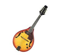 Strumento Mandolino Elettroacustico Mandolino A 8 Corde Con Accessori Battipenna Pickup Professionale Mandolino