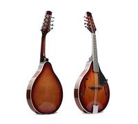 strumento mandolino Mandolino Acustico Mandolino Strumento A Corde In Tiglio Brillante Mandolino (Color : 05)