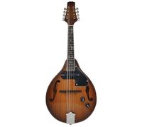 Strumento Mandolino Professionale Mandolino A Otto Corde Mandolino Tibetano Chitarra Strumento Musicale Nazionale Mandolino Elettrico(A)