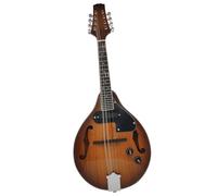 Strumento Mandolino Professionale Strumento Per Mandolino A Otto Corde Mandolino Elettrico Strumento Etnico Mandolino Tibetano(A)