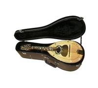 Strumento Mandolino Singolo A 8 Corde Fatto A Mano Con Custodia