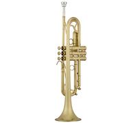 Strumento Musical Tromba Spazzolato Opaco