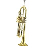 Strumento Musicale A Tromba In Si Bemolle Per Principianti, Esame Entry-level, Numero Giovanile Per Tromba Principianti Ottone Tromba