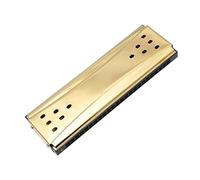 Strumento Musicale Armonica A Doppia Faccia 24 Fori Tremolo G E C Armonica Strumento Musicale (Color : 01)