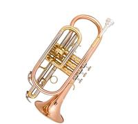 Strumento Musicale Cornetta In Si Bemolle Numero Di Palma Prestazioni Portatili Bronzo Fosforoso Avanzato Principianti Ottone Tromba