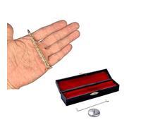 Strumento musicale Deck Bronzo Contralto Sassofono Piccolo Finitura Oro Concetto Presente Sassofono Oro Artefatto